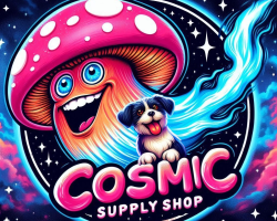 1744163490-CSSLOGO